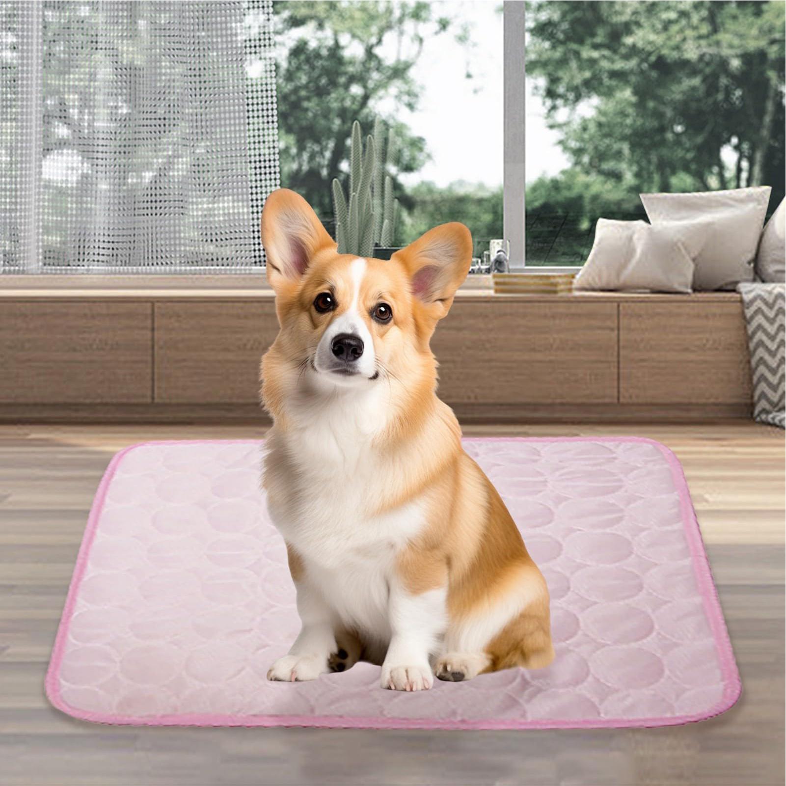 Tapete Refrescante de Verão pa - Pet Supplies Self Wash avaliação e preço