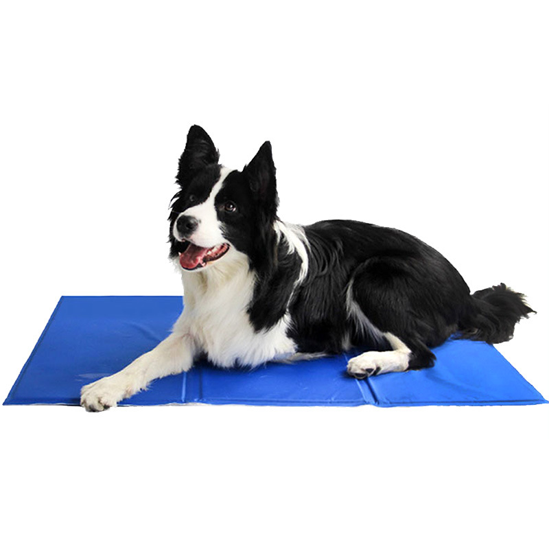 Tapete Refrescante para Cães e - Pet Supplies Self Wash avaliação e preço