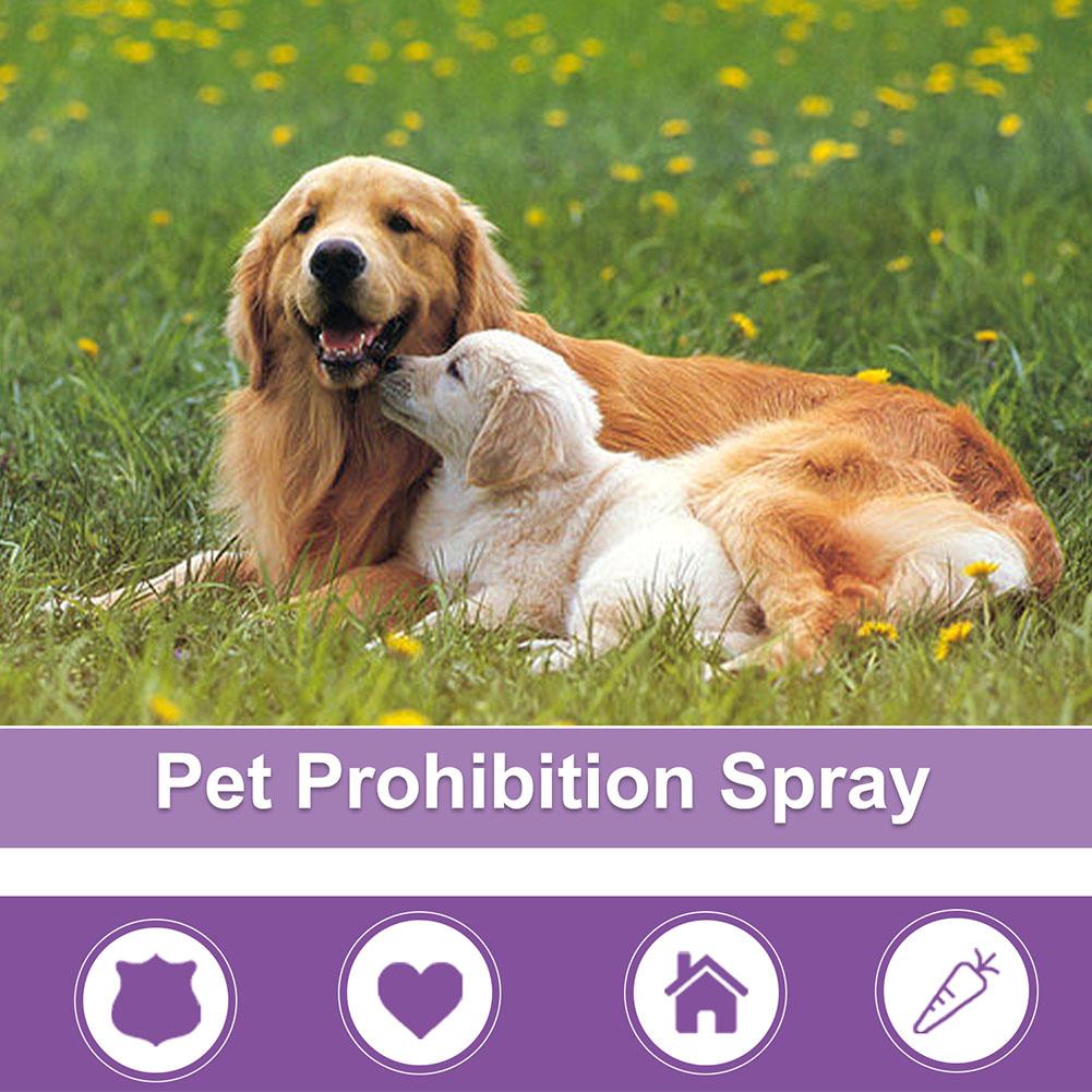 Spray Calmante para Animais de - Pet Supplies Vending Machine avaliação e preço