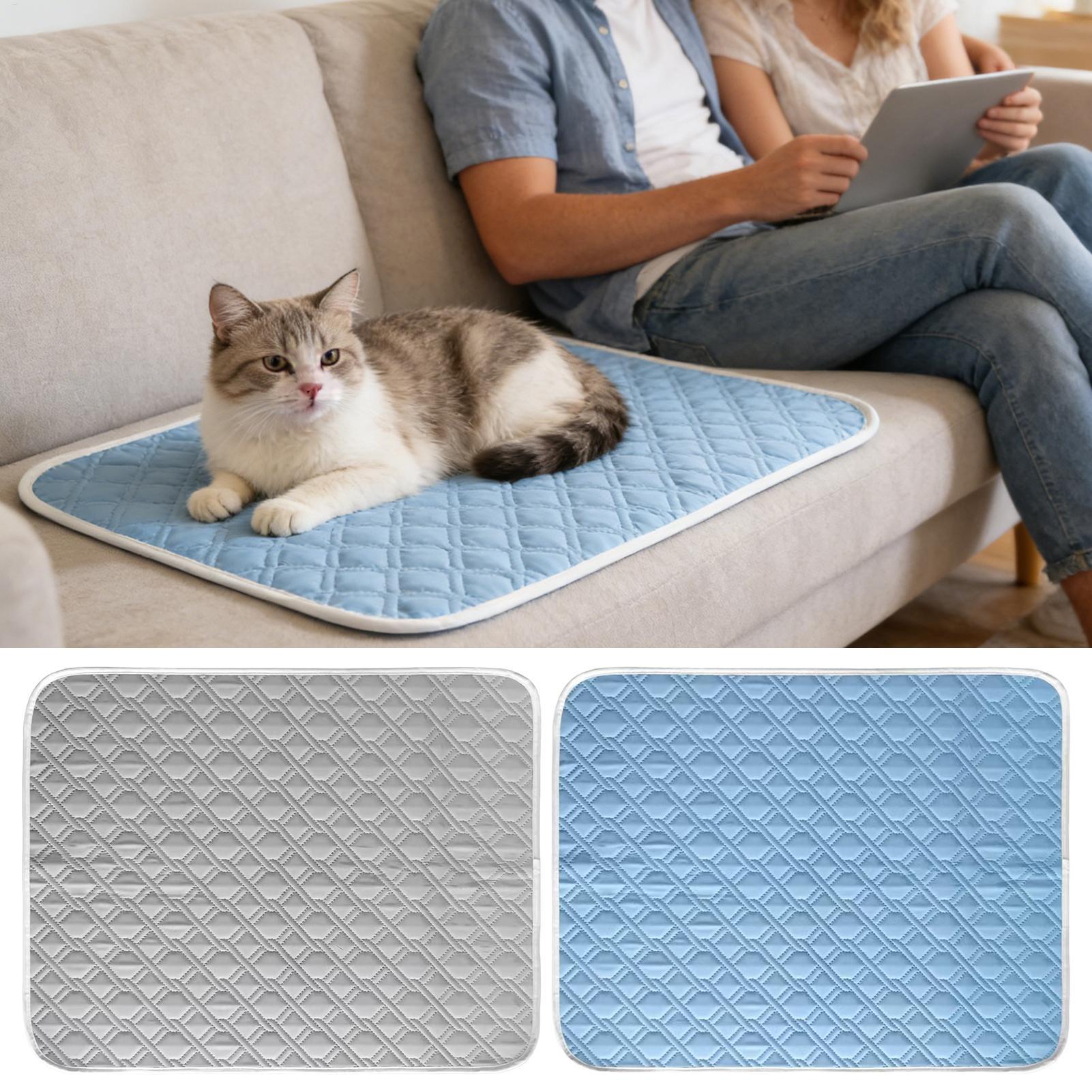 Tapete Refrescante de Verão pa - Pet Supplies Self Wash avaliação e preço