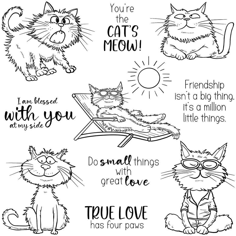 Mangocraft engraçado gatos de  - Pet Supplies Is Food avaliação e preço