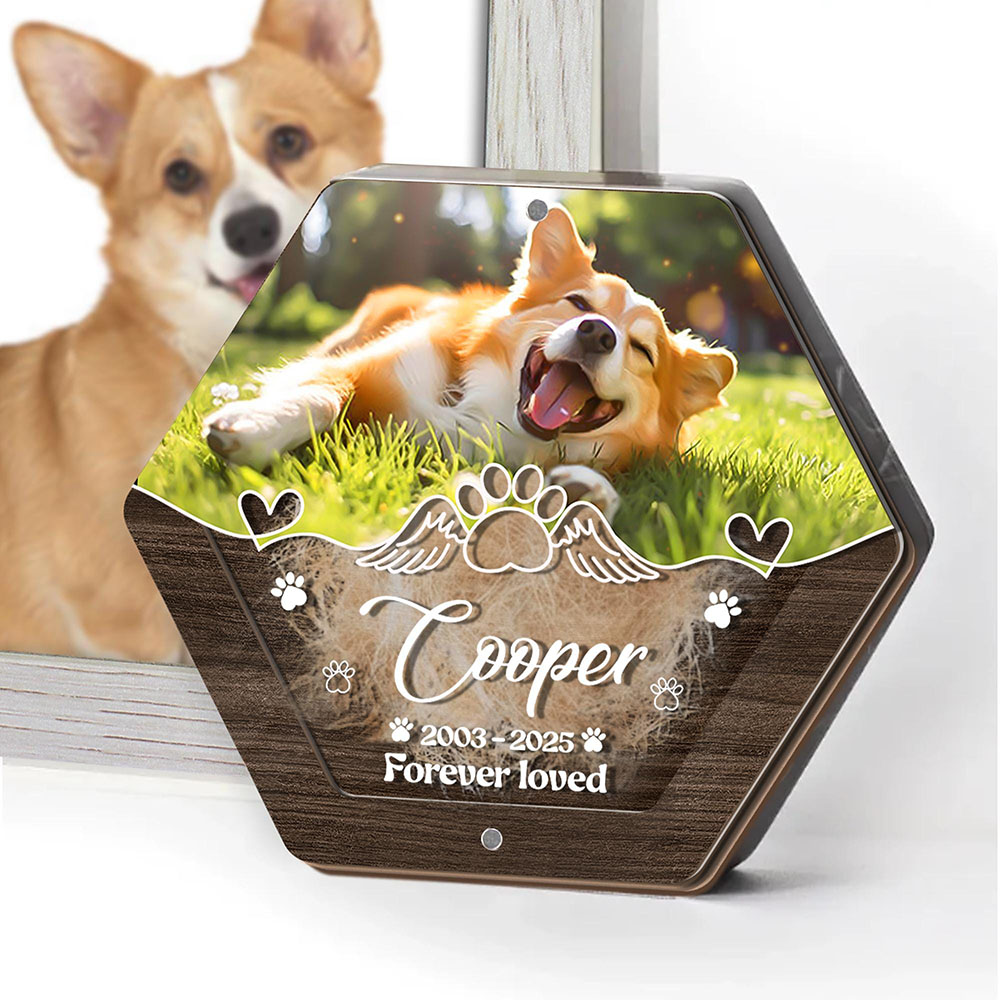 Nome personalizado escultura e - Pet Supplies Vending Machine avaliação e preço